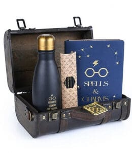 Harry Potter (Trouble FInds Me) Premium Gift Set